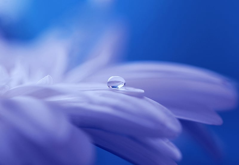 Fairyland